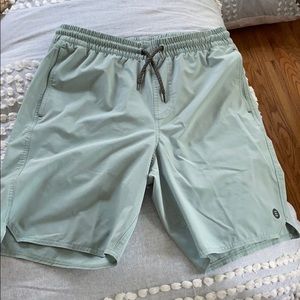 Men’s seafoam bathing suit-Freefly brand